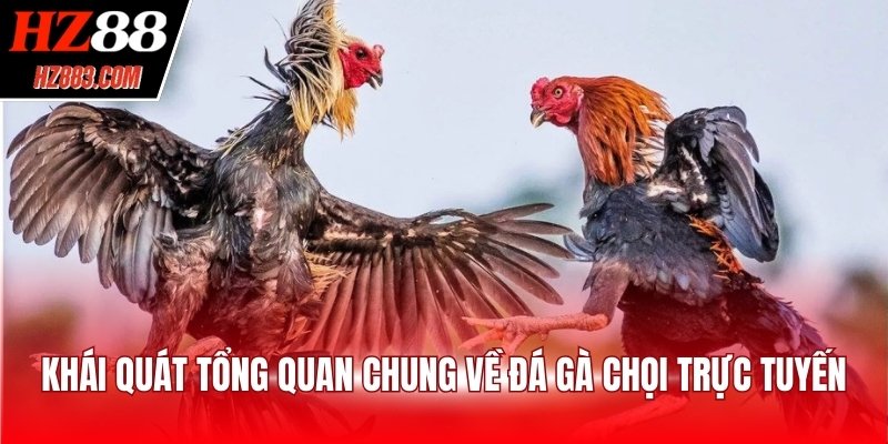 Khái quát tổng quan chung về đá gà chọi trực tuyến